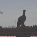 08_05-mast.jpg