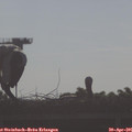 08_25-mast.jpg