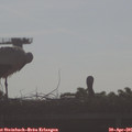 08_35-mast.jpg