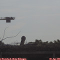08_50-mast.jpg