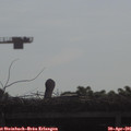 08_55-mast.jpg