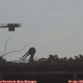 09_00-mast.jpg