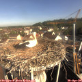 09_05-nest.jpg