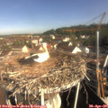 09_10-nest.jpg