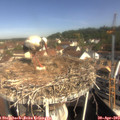 10_00-nest.jpg