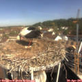 10_05-nest.jpg