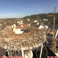 10_10-nest.jpg
