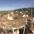 10_30-nest.jpg