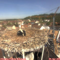 10_45-nest.jpg