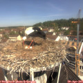 11_00-nest.jpg