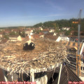 11_05-nest.jpg
