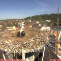 11_15-nest.jpg