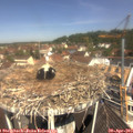 11_20-nest.jpg