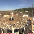 11_25-nest.jpg