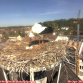 11_30-nest.jpg