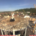 11_40-nest.jpg