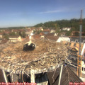 11_45-nest.jpg