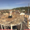 11_55-nest.jpg