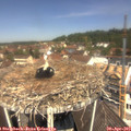 12_00-nest.jpg