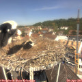 12_05-nest.jpg
