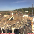 12_20-nest.jpg
