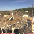 12_25-nest.jpg