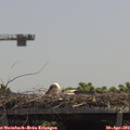 12_40-mast.jpg