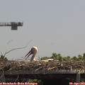 13_05-mast.jpg