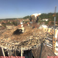 13_10-nest.jpg