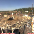 13_15-nest.jpg
