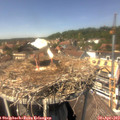 14_00-nest.jpg