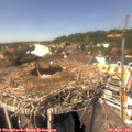 14_15-nest.jpg
