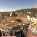 14_55-nest.jpg