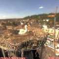 15_00-nest.jpg
