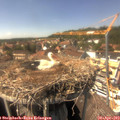 15_05-nest.jpg