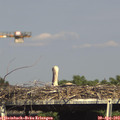 16_10-mast.jpg