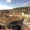 16_10-nest.jpg