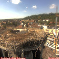 16_20-nest.jpg