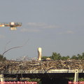 16_25-mast.jpg