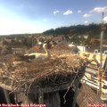 16_40-nest.jpg