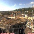 16_45-nest.jpg