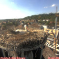 17_15-nest.jpg