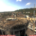 17_25-nest.jpg