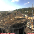 17_35-nest.jpg
