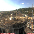17_45-nest.jpg