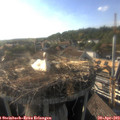 18_15-nest.jpg