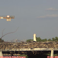 18_35-mast.jpg