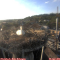 19_00-nest.jpg