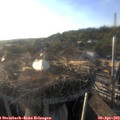 19_05-nest.jpg