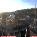 19_30-nest.jpg
